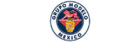 Grupo Modelo